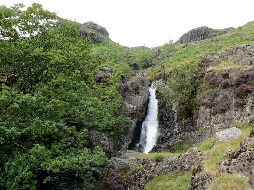 Lingcove Beck Lingcove Beck